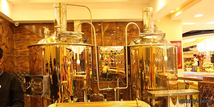 500L钛金糖化罐啤酒设备