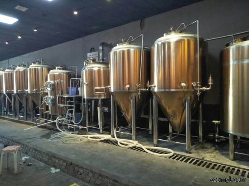 精酿啤酒设备的发展2021-03-22