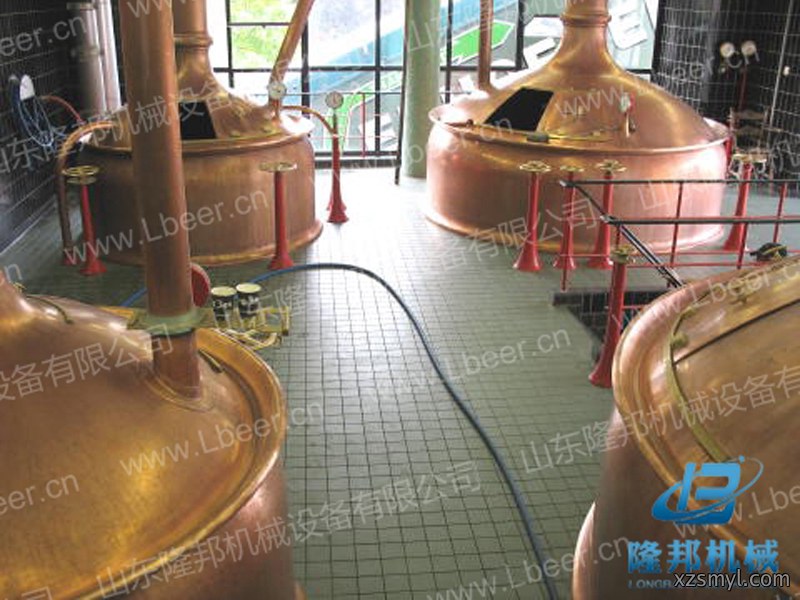 糖化过程与酶作用条件的关系2021-07-28